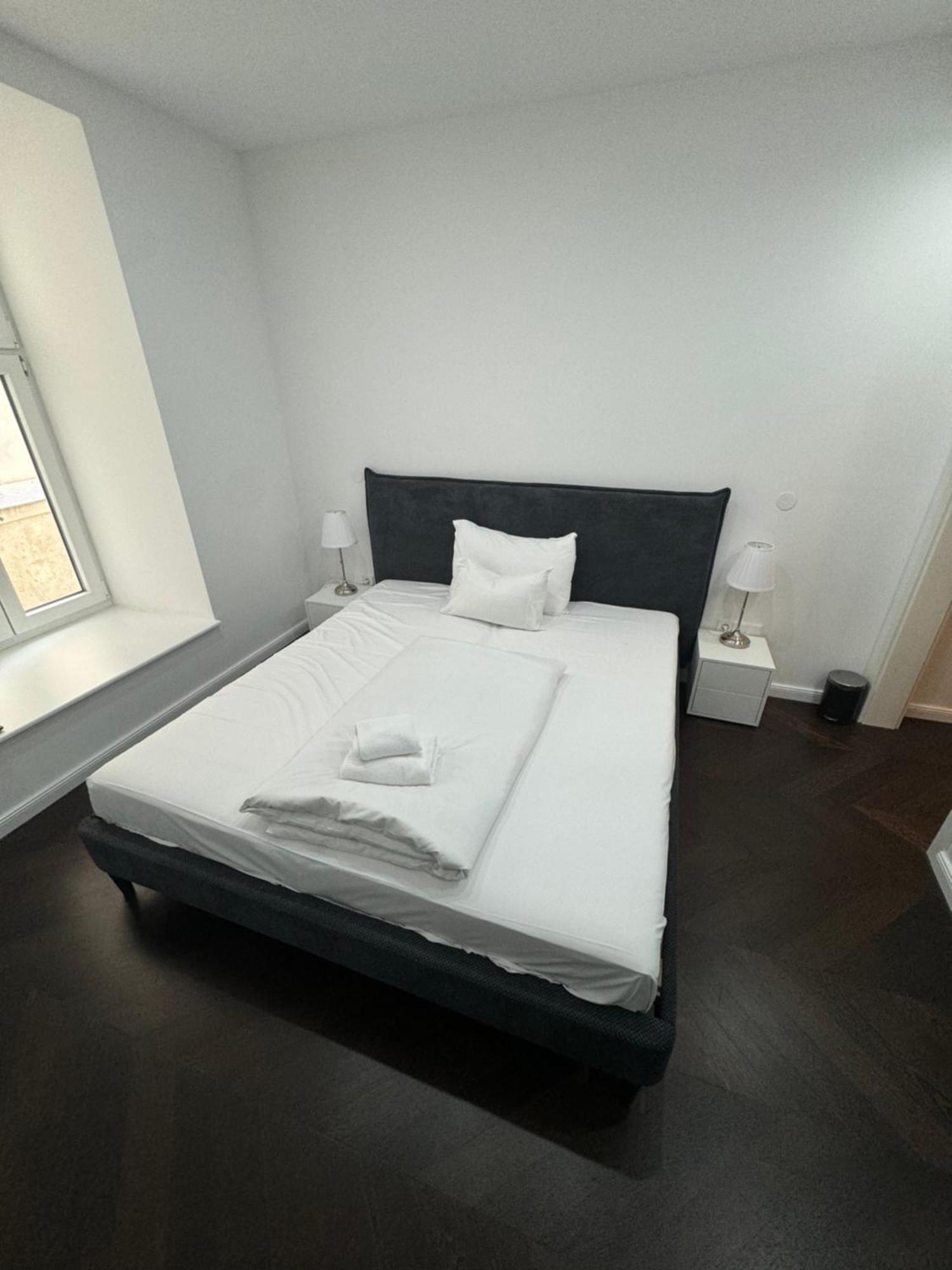 Luxurious Apartment In The Centre Of Wiedeń Zewnętrze zdjęcie
